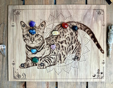 Load image into Gallery viewer, Custom with your pet | Animal Distant Healing board Reiki healing shamanic healing Board

